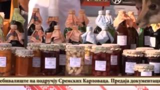 Sremski Karlovci: Sporazum u Dalju - regionalna međunarodna saradnja 3 partnera