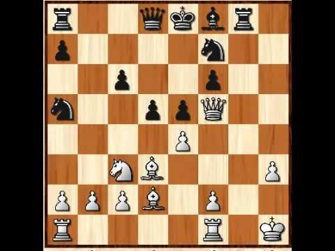 chess knight