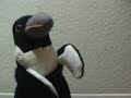 Ask a Ninja Penguin