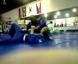 videos de Brazillian Ju-Jitsu