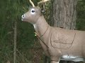 East Texas Hunting...