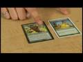 Magic the Gathering: Continuous Effects Rules : Magic: The Gathering: Other Power & Toughness Effects