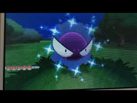 how to hatch shiny pokemon in x and y