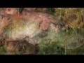 Fish (TYG Tim Powles) (Chris Campbell)