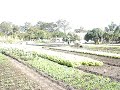 formosa do rio preto ivanei