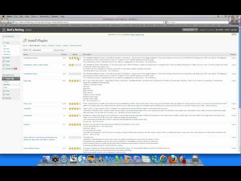 Wordpress Plugins SEO & Social Networking