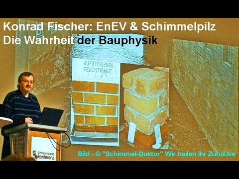 Pilzbefall: EnEV & Schimmelpilz: Die Wahrheit der Bau ...