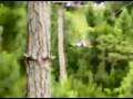 videos de Super Edn n' Blen