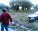 coches 4x4 ruta