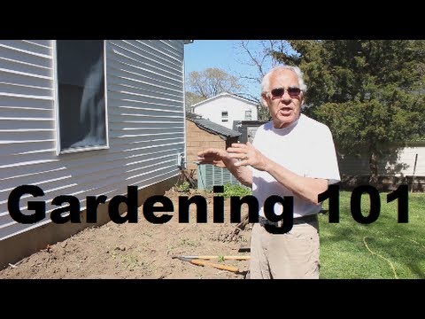 how to prepare a vegetable patch