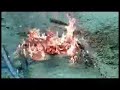Death of the Mousetrap Car from Hell Death of the Mousetrap Car from Hell
