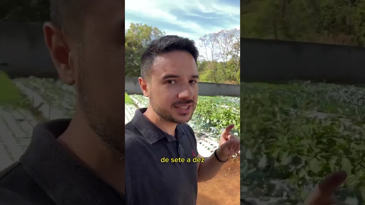 Qual investimento para começar uma horta ?