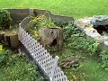 Great box turtle outdoor pens Great box turtle outdoor pens