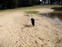 Bella_Lakes.MPG