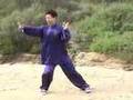 Taiji: Compact Tai Chi 1 (yang chen sun wu)