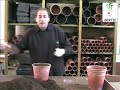 Sowing Sugar Beet