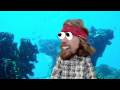Mr Seahorse
