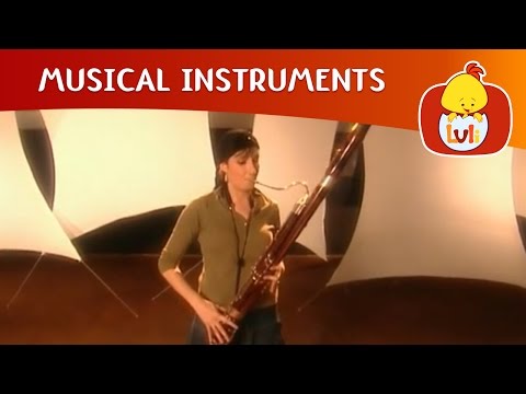 Musical Instruments - Harp, Basson, Double Bass, For Kids