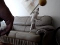 A Mel joga um bolão