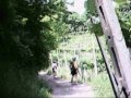 Colli Euganei 1