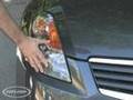 2008 Nissan Altima/In-Depth: Overview
