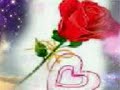 quraan