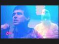 Animal Collective - In the Flowers (Hove 2008)