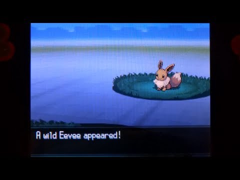 how to obtain eevee in pokemon white