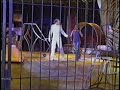 Tigre ataca a conductora de UNIVA TV