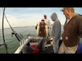 Lake Erie Walleye Fishing 2015 Erie