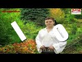 Puiu Codreanu - Viata, viata, floare scumpa