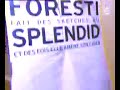 Thumbnail #3