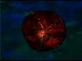 Visions Of Shiva - How Much Can You Take Visions Of Shiva - How Much Can You Take