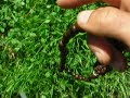 How to use a mala (Buddhist or Hindu rosary)