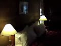 Hotel Bora Bora Garden Bungalow Interior with Bathroom