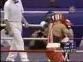 Miguel Cotto vs Mahamadkadir Abdullayev - Round 4