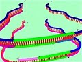 Polymerase Chain Reaction