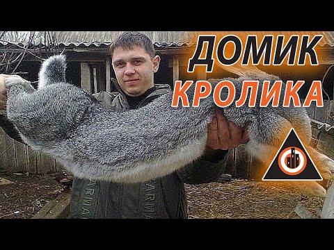 Кроликов смотреть онлайн видео в отличном качестве и без регистрации на Кроликов смотреть онлайн видео в отличном качестве и без регистрации на