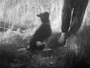 Choupa - 1 �re vid�o d\
