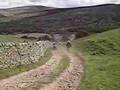 Rosdale Special 3