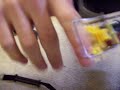 Mousetrap 2