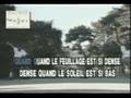 La tarentelle - Yves Duteil