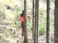 Chasse orignal La tuque 2007