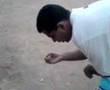 My Brother`s Murder