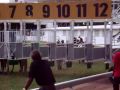 videos de Horse racing in Barbados