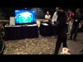 Softkinetic Silhouette 3D gesture game played at NVIDIA conference
