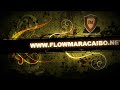 WISIN Y YANDEL - La Revolucion World Tour @ Puerto Rico - 2009 -  Ft T - Pain - Imaginate