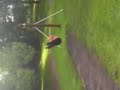lol sharon on da swing thingy at hanley park