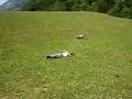 due idioti e una collina