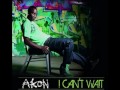Akon - I Can't Wait (High Quality)